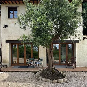 La Tana Del Grifo - Podere Amodeo , Chiusi Italia